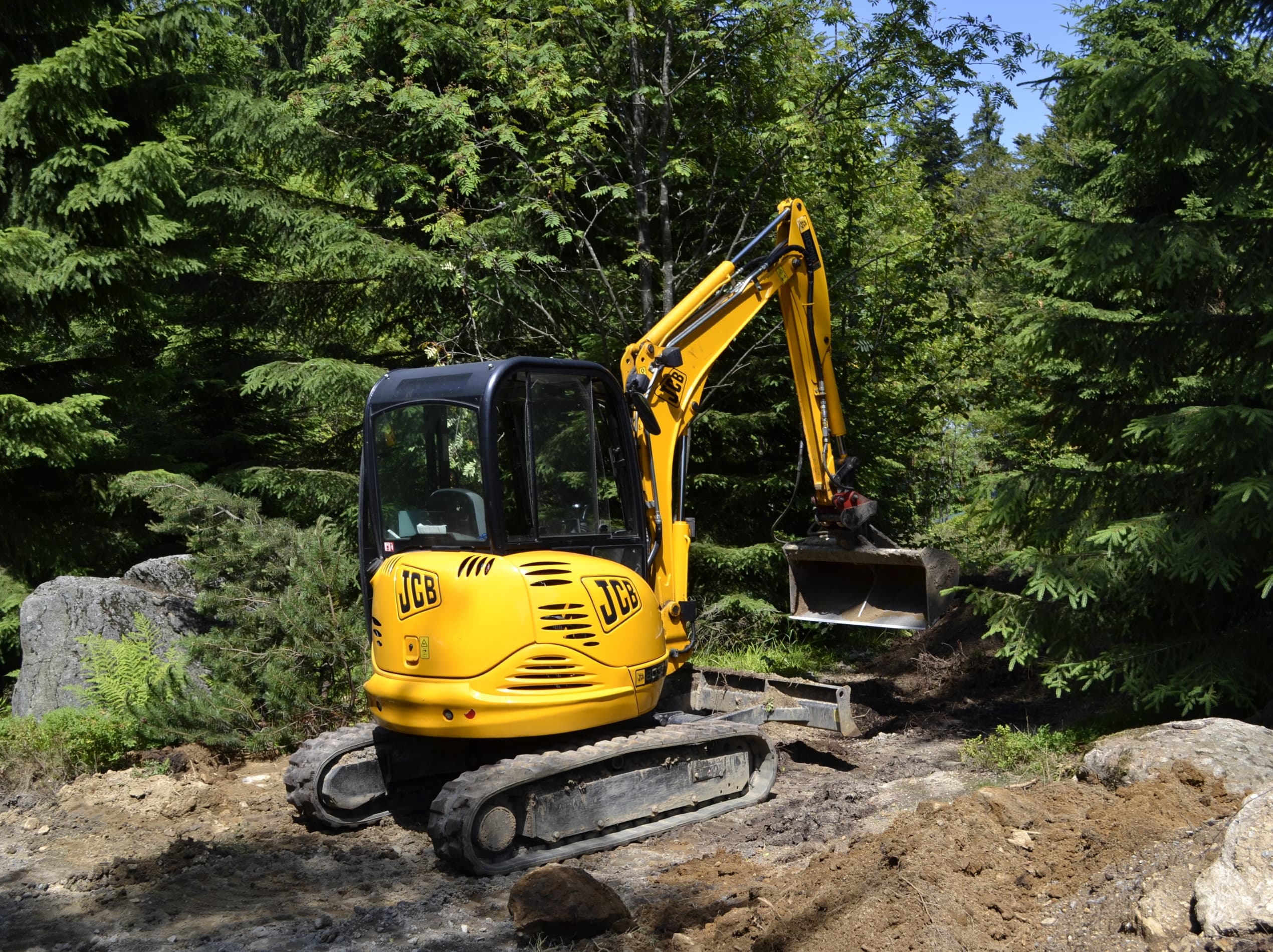 JCB mini excavator digging in a forest clearing